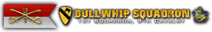 Bullwhip Squadron Association